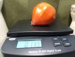 King Kong Tomato - Image 3