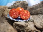King Kong Tomato Seeds