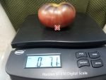 Lullaby Tomato Bill Yoder Tomatoes