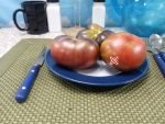 Lullaby Tomato Blue Tomatoes