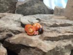 Master Tomato Bill Yoder Tomatoes