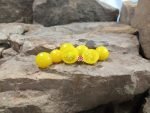 Micro Dwarf Sweet n Neat Yellow Tomato