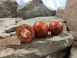 Miss Kennedy Tomato Seeds