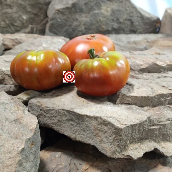 Negro De Aritzkuren Tomato