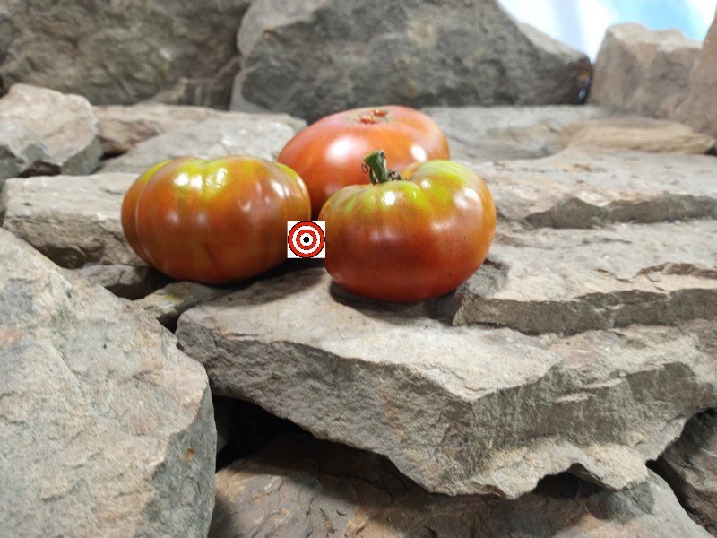 Negro De Aritzkuren Tomato