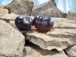 Ordinary World Tomato Duran Duran Tomatoes