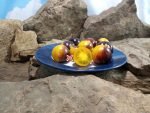 Planet Earth Tomato