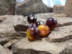 Planet Earth Tomato Seeds
