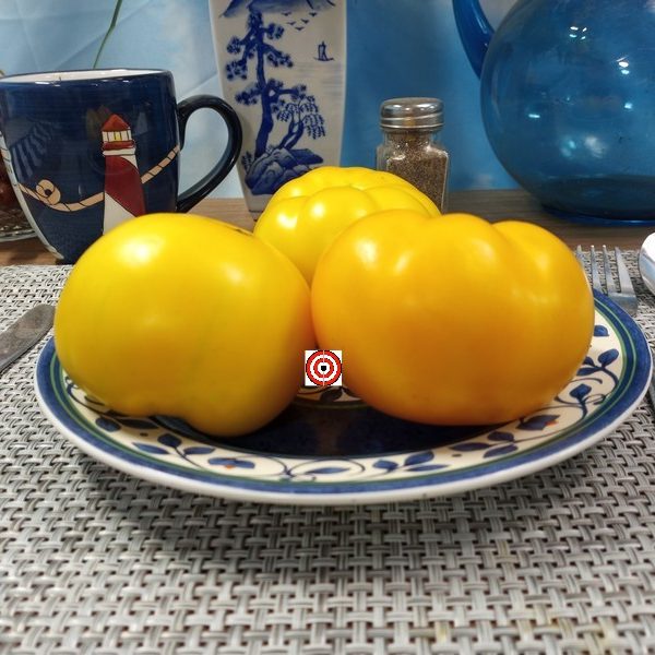 Precious Tomato