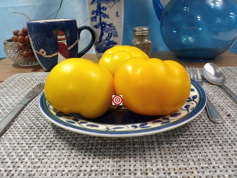 Precious Tomato