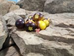 Rio Tomato Cherry Tomatoes