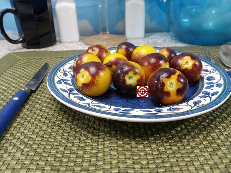 Rio Tomato