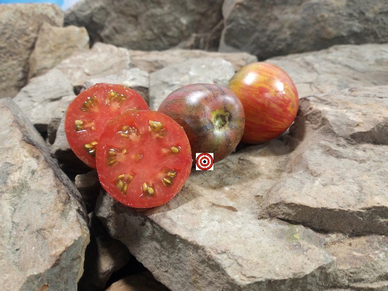 Sabotage Tomato Seeds Sabotage Tomato Seeds