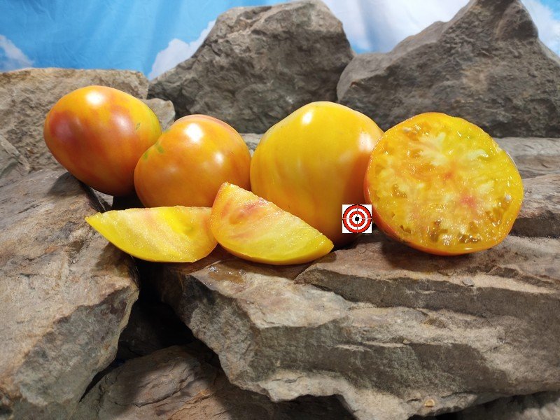 Save A Prayer Tomato