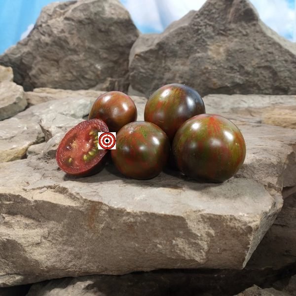 Shadow of Death Dwarf RL Tomato