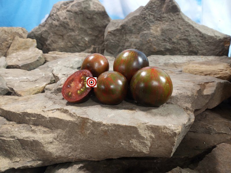 Shadow of Death Dwarf RL Tomato