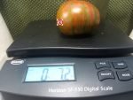 Shake The Disease Tomato Beefsteak Tomatoes