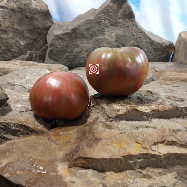 Suffer Well Tomato