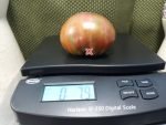 Suffer Well Tomato Striped Tomatoes