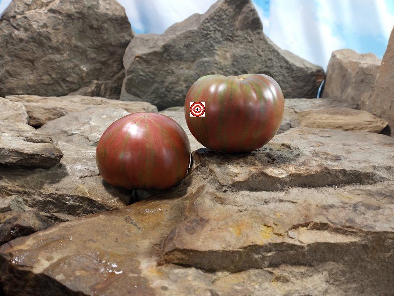 Suffer Well Tomato
