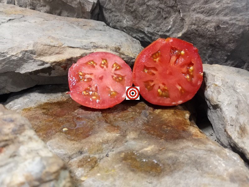 The Best Heirloom Tomato Crimean Red Tomato Seeds Available Here.