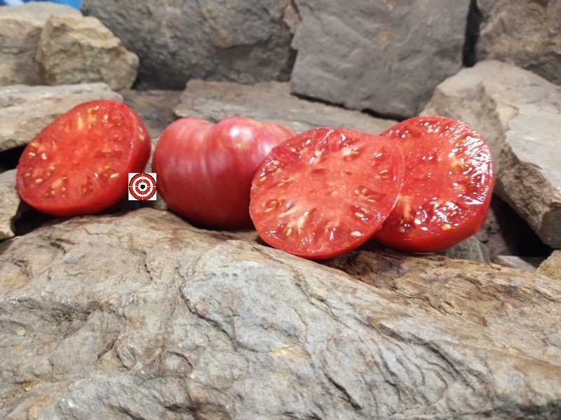 The Best Slicing Tomato Dwarf Crazy Calliope Tomato Seeds Available Here.