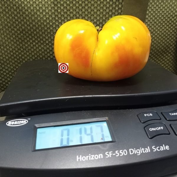 The Chauffeur Tomato