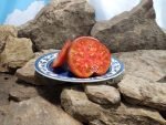 The Reflex Tomato Top 10 Tomatoes