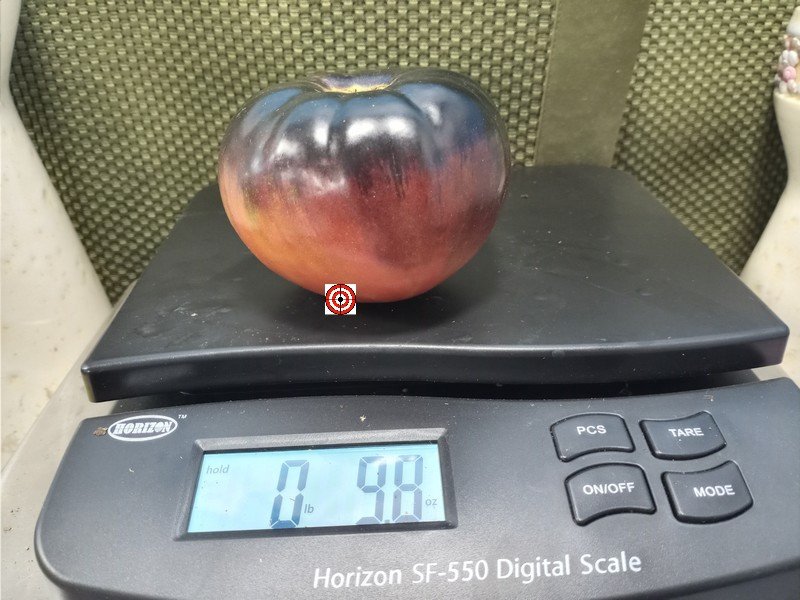 The Reflex Tomato