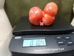 Weapons Of Mass Destruction Sport Tomato