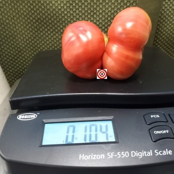 Weapons Of Mass Destruction Sport Tomato