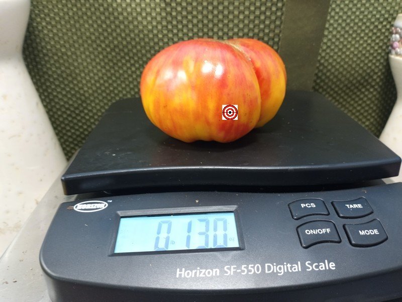 World In My Eyes Tomato Beefsteak Tomatoes World In My Eyes Tomato Beefsteak Tomatoes