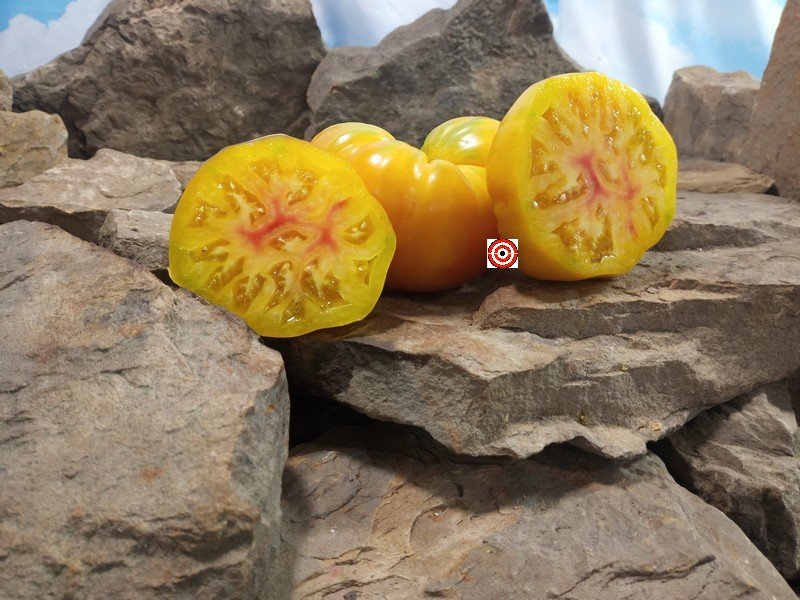 World In My Eyes Tomato