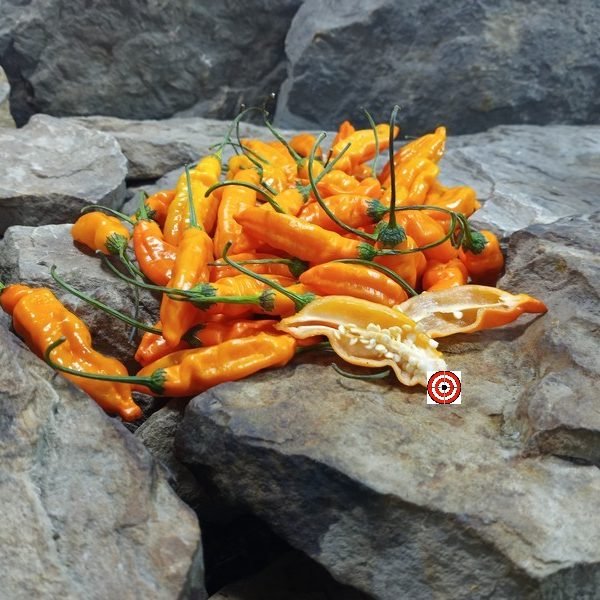 Aji Mango Pepper Pods