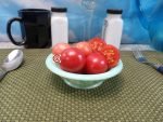 Amish Salad Tomato Salad Tomatoes