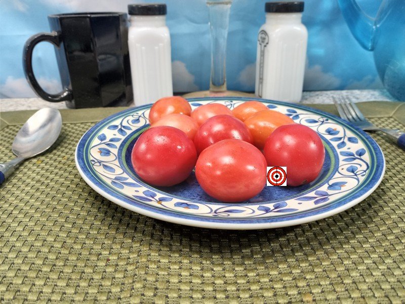 Amish Salad Tomato