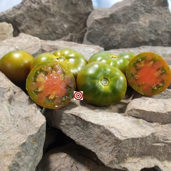 Bayou Sun Tomato