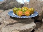 Bayou Sun Tomato Seeds