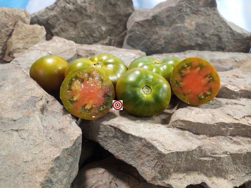 Bayou Sun Tomato