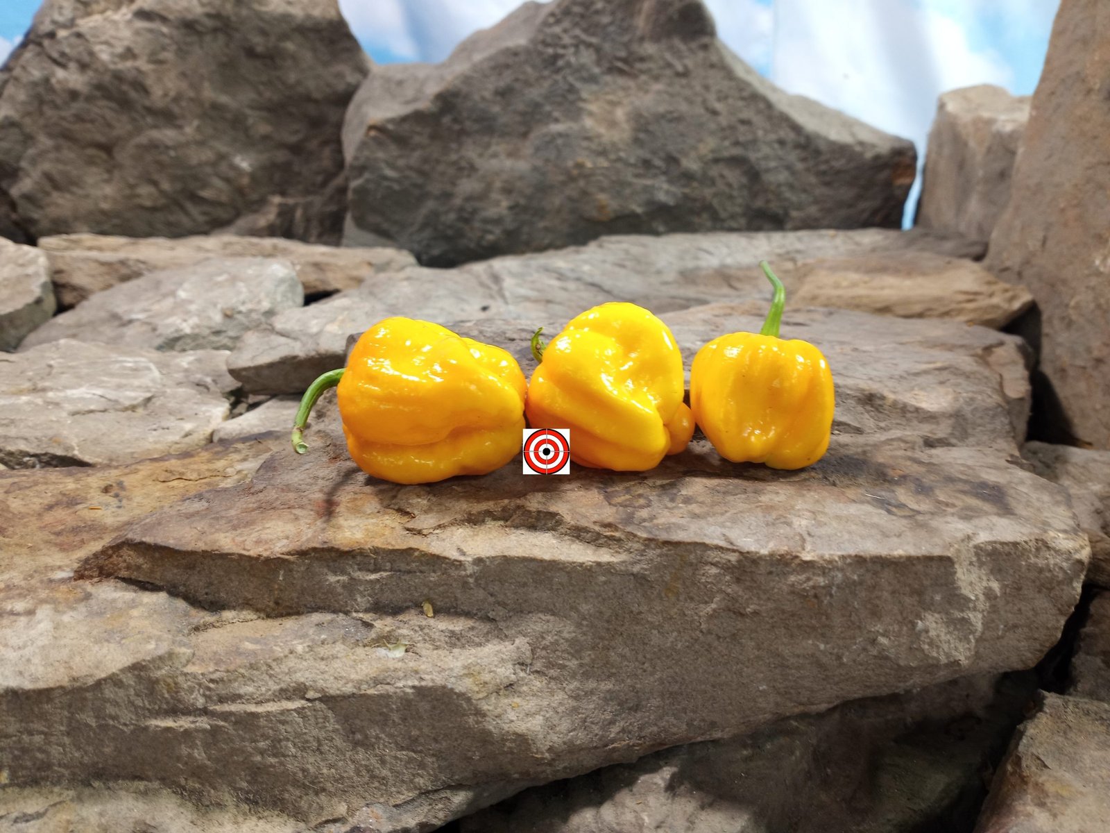 Bhutlah Gold Pepper Sauce Peppers Bhutlah Gold Pepper Sauce Peppers