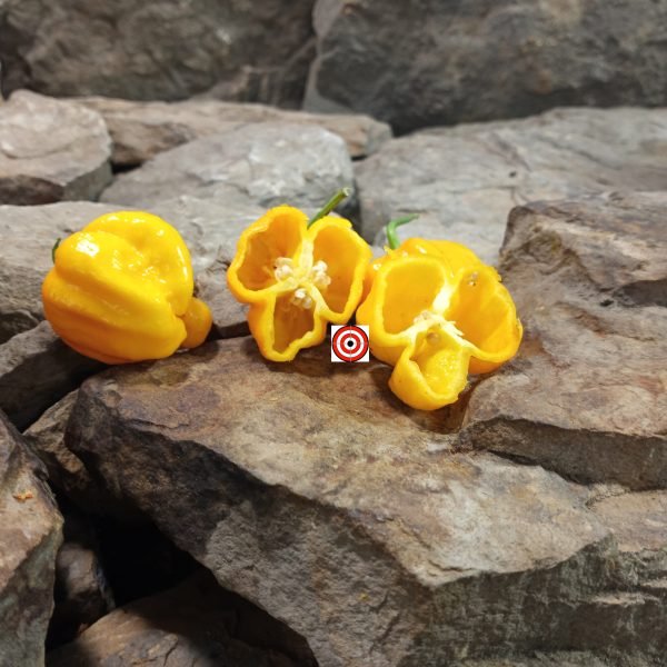 Bhutlah Gold Pepper Seeds