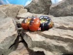 Black Fire Tomato