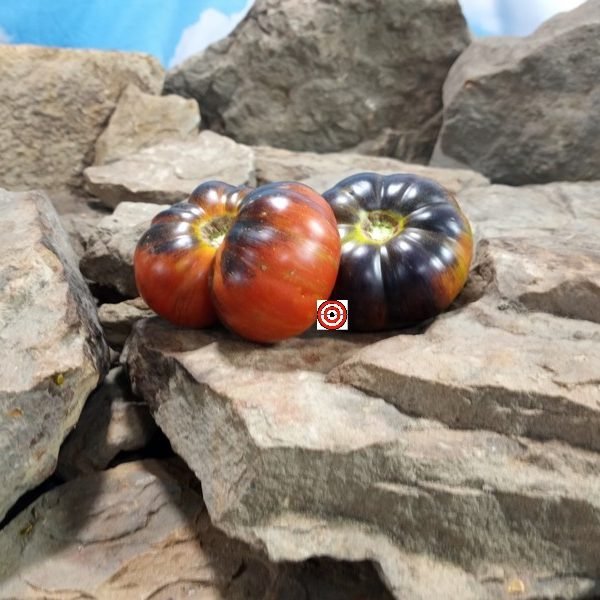 Black Fire Tomato