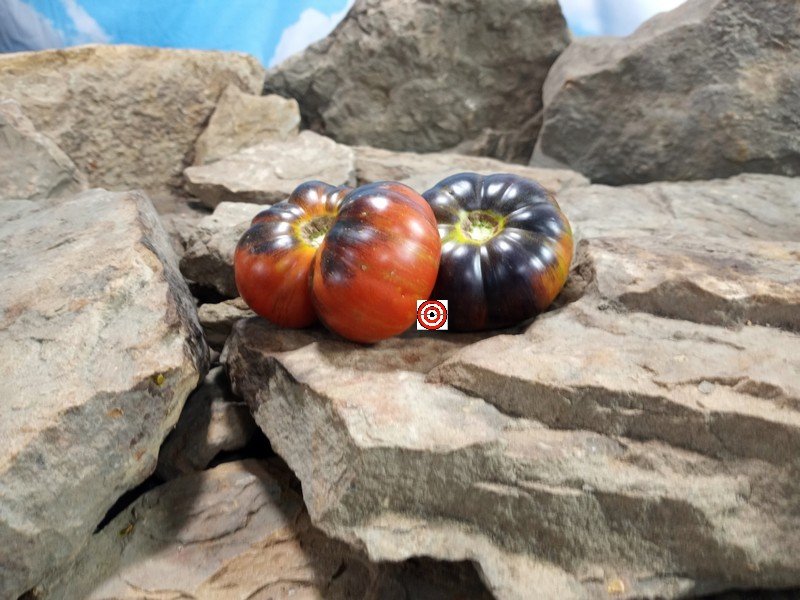 Black Fire Tomato