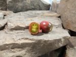 Black Hole Sun Tomato Bill Jeffers Tomato