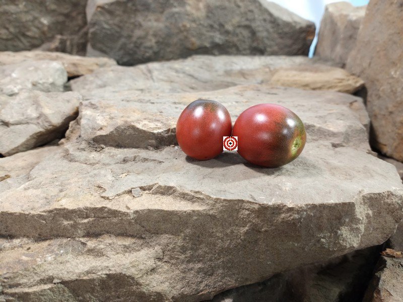Black Hole Sun Tomato