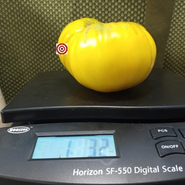 Bonanza Tomato