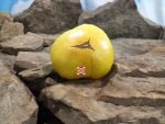 Bonanza Tomato Seeds