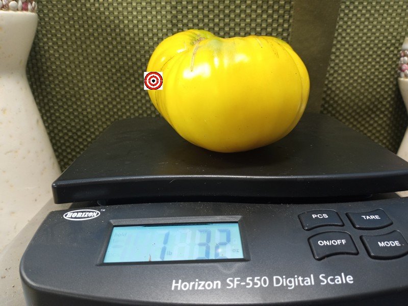 Bonanza Tomato