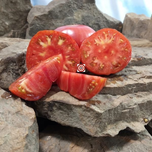 Boondocks Tomato